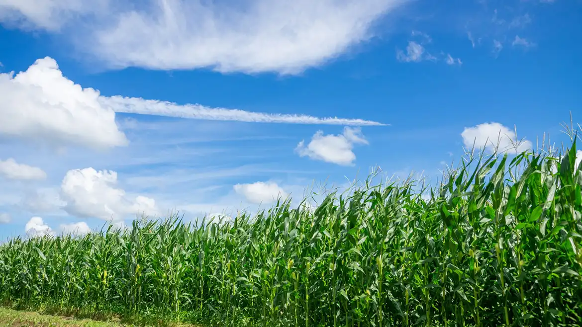 バイオマスプラスチックを用いた手すり